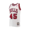 Jordan #45 Chicago Bulls Retro Jersey 1994/95 For Men - dunkjerseys