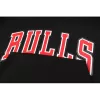 Aape x Chicago Bulls Hoodie For Men Black - dunkjerseys