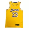 LeBron James #23 Basketball Jersey Los Angeles Lakers 2021 - Association Edition - dunkjerseys