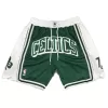 Boston Celtics NBA Shorts For Men -Green - dunkjerseys