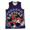 Vince Carter #15 Toronto Raptors Retro Jersey For Men - dunkjerseys