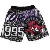 Toronto Raptors NBA Shorts For Men -Gray - dunkjerseys